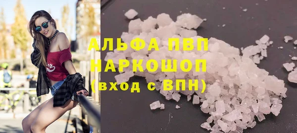 шишки Белокуриха