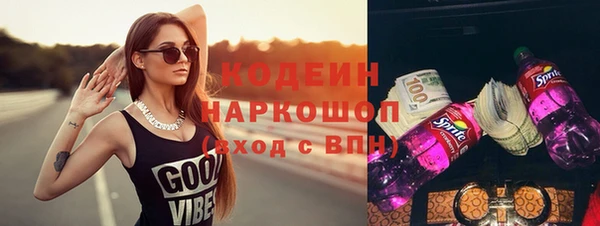 шишки Белокуриха