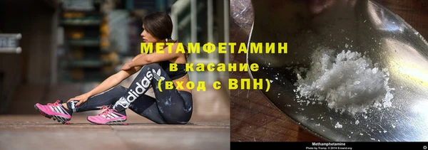 шишки Белокуриха
