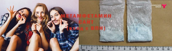 шишки Белокуриха