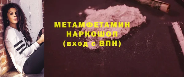 шишки Белокуриха