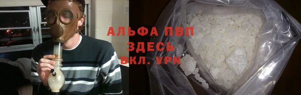 стаф Белоозёрский