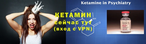 шишки Белокуриха