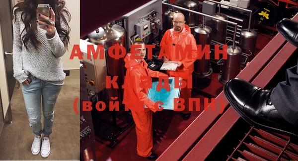 шишки Белокуриха