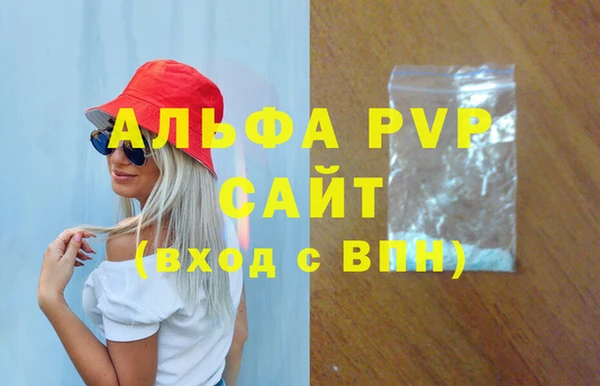 шишки Белокуриха