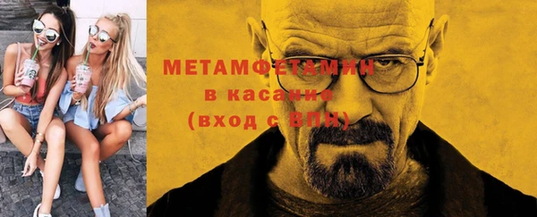 шишки Белокуриха