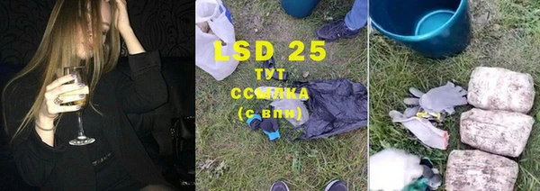 шишки Белокуриха
