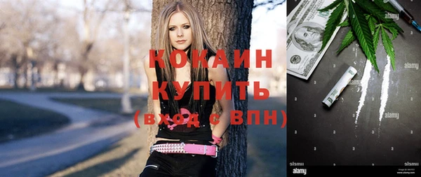 шишки Белокуриха