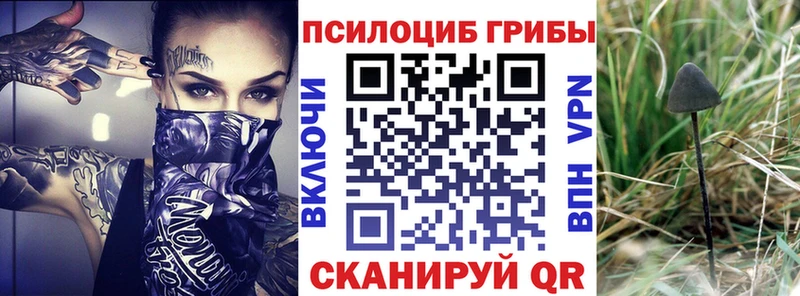 Галлюциногенные грибы мицелий  наркота  MEGA зеркало  Афипский 